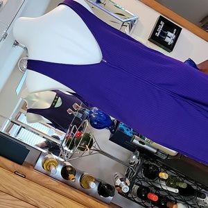 Purple (costume) dress.  Sleeveless. Back zip. Large.